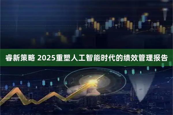 睿新策略 2025重塑人工智能时代的绩效管理报告