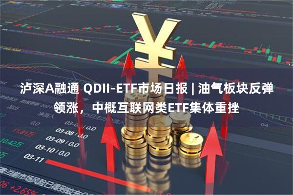 泸深A融通 QDII-ETF市场日报 | 油气板块反弹领涨，中概互联网类ETF集体重挫