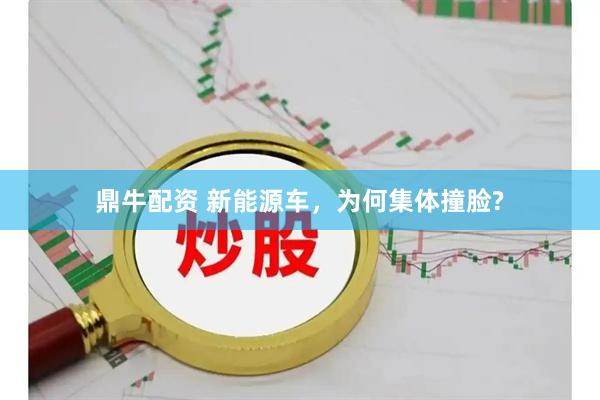 鼎牛配资 新能源车，为何集体撞脸?