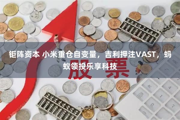 钜阵资本 小米重仓自变量,吉利押注VAST,蚂蚁领投乐享科技
